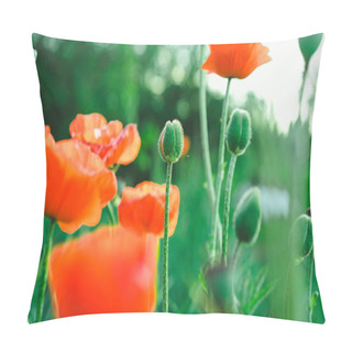 Personality  Close-up View Of Flowering Poppies Pillow Covers