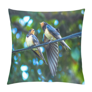 Personality  Swallows Sitting On Wire Pillow Covers