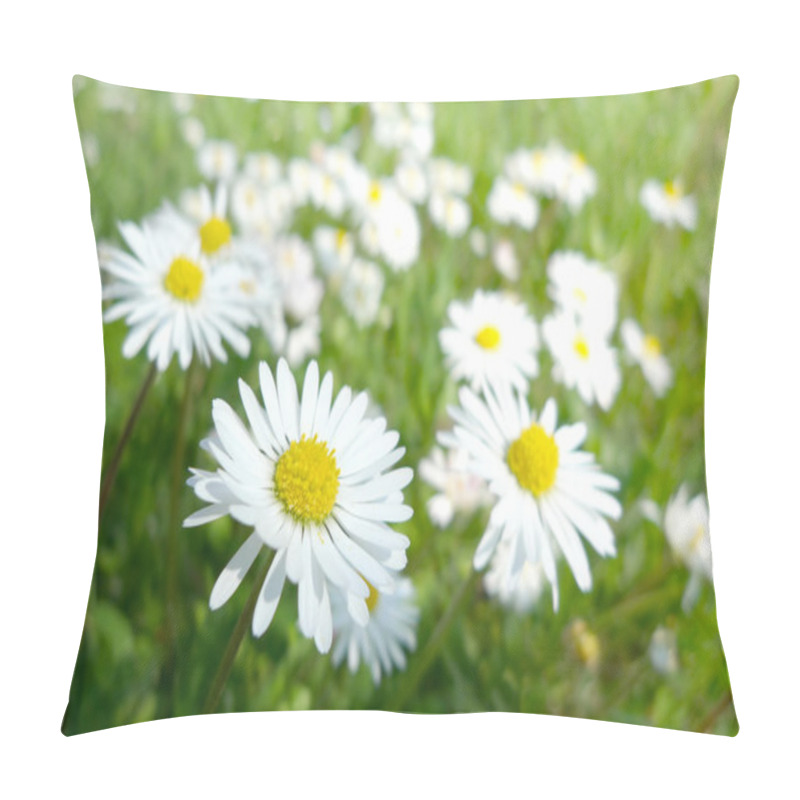 Personality  Daisies pillow covers
