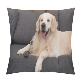 Personality  Cute Golden Retriever Lying On Couch With Remote Control Pillow Covers