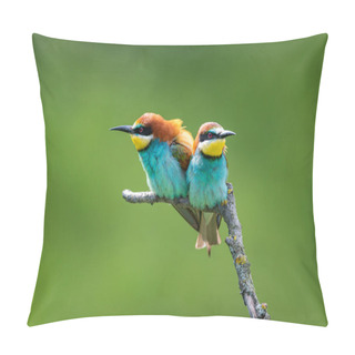 Personality  Color Birds On A Branch. The European Bee-eater (Merops Apiaster). Two Birds Arguing. Angry Birds. Pillow Covers