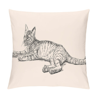 Personality  Sketch Of A Lying Kitten Pillow Covers