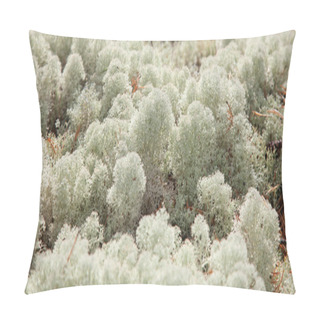 Personality  Reindeer Lichen Pillow Covers