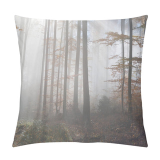 Personality  Mysterious Morning Fog In A Autumn Forest Pillow Covers