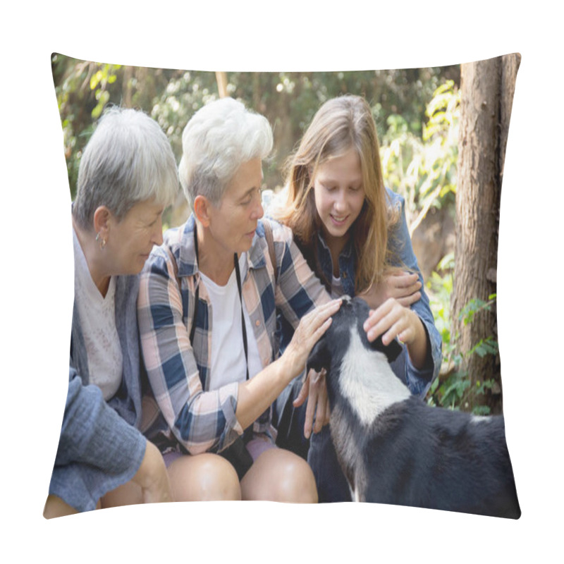 Personality  Teenager girl and two grandmother traveling travel to forest and adventure while playful with dog together with happy, senior woman and granddaughter hiking with fun and vitality in holiday. pillow covers
