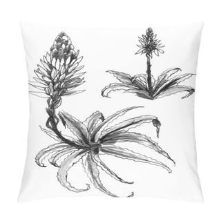 Personality  Decorative Tropical Aloe Flower Pillow Covers