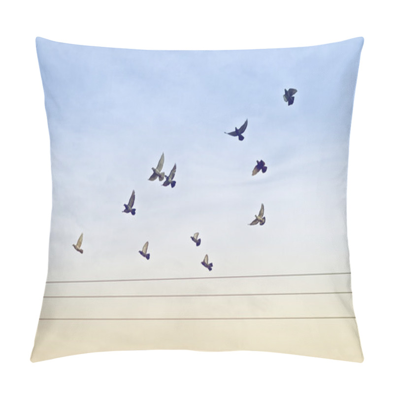 Personality  Flock Of Pigeons Over Power Wires Pillow Covers