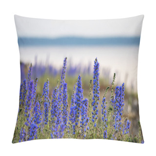 Personality  Blooming Summer Wildflowers Blueweed, Echium Vulgare With Coastal Landscape Int He Background On The Island Of Gotland In Sweden Pillow Covers