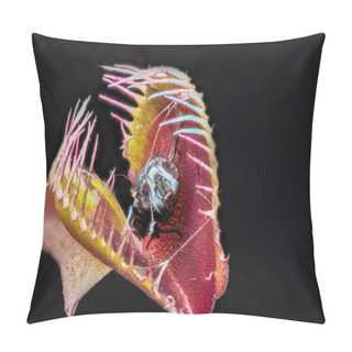 Personality  Venus Fly Trap (Dionaea Muscipula) With Captured Digested Fly Pillow Covers