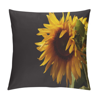 Personality  Beautiful Bouquet With Yellow Summer Sunflowers, Isolated On Black Pillow Covers