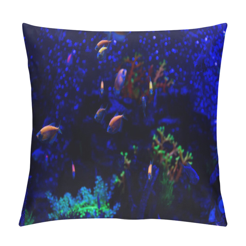 Personality  Fishes Swimming Under Water In Aquarium With Neon Lighting Pillow Covers