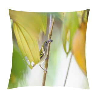 Personality  The Vibrant Chestnut-sided Warbler (Setophaga Pensylvanica) Graces North American Woodlands. This Agile Songbird, Adorned With Distinctive Chestnut Markings, Brings Lively Colors And Cheerful Melodies To The Forest Canopy.  Pillow Covers
