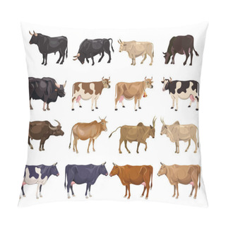 Personality  Cattle Breeding Set. Cows And Bulls. Side View. Vector Illustration Isolated On White Background Pillow Covers