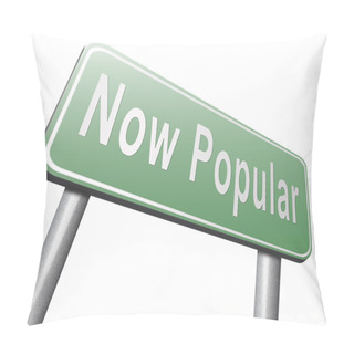 Personality  Now Popular Road Sign, Billboard   Pillow Covers