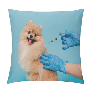 Personality  Cropped View Of Veterinarian In Latex Gloves Making Vaccination For Pomeranian Spitz Dog Isolated On Blue  Pillow Covers