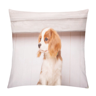 Personality  Cavalier King Charles Spaniel Puppy Dog Inside Pillow Covers