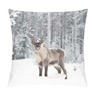 Personality  Reindeer Pillow Covers