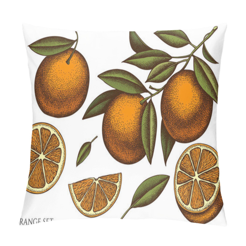 Personality  Citrus hand drawn vector illustrations collection. Colored orange. pillow covers