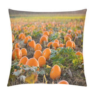 Personality  Pumpkin Patch On Farm Pillow Covers