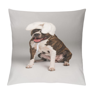 Personality  Purebred Staffordshire Bull Terrier In White Headband With Bunny Ears Sitting On Grey  Pillow Covers