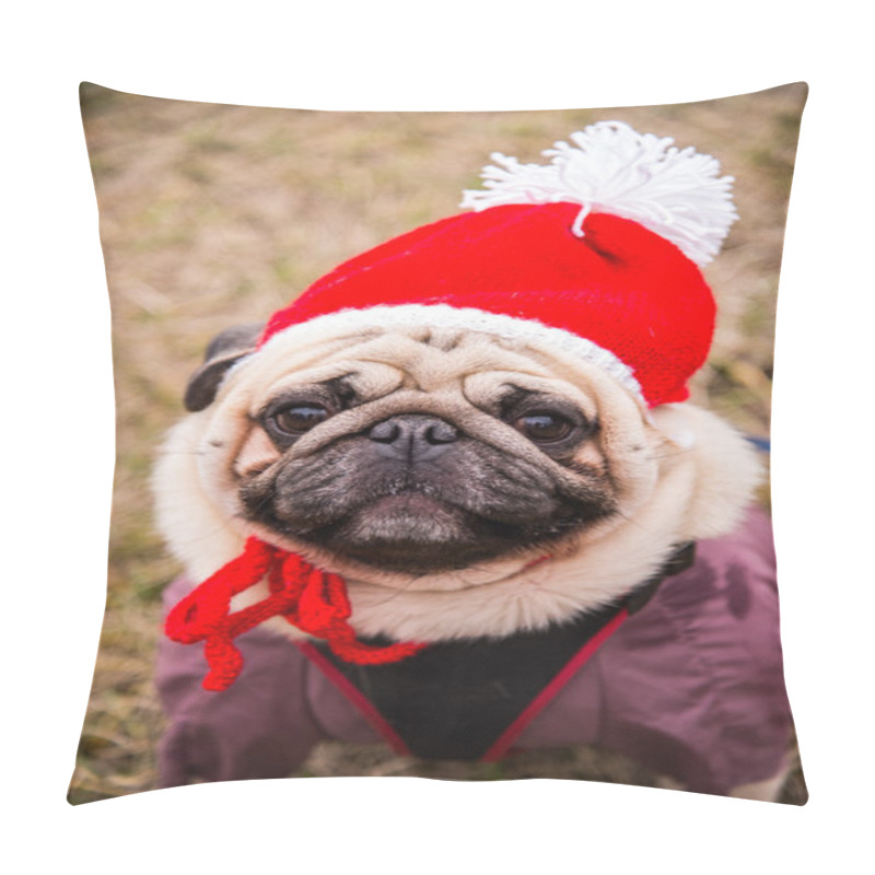 Personality  Dog Mops. Dog dressed as Santa Claus pillow covers