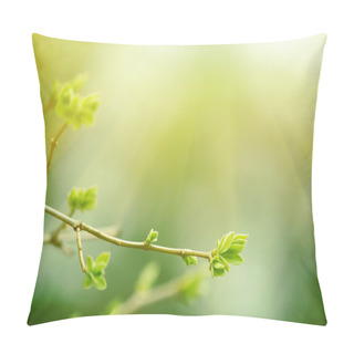 Personality  Sun Shines Over The Branch Of Tree Pillow Covers