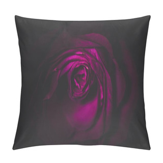 Personality  Dry Purple Rose In The Dark Pillow Covers