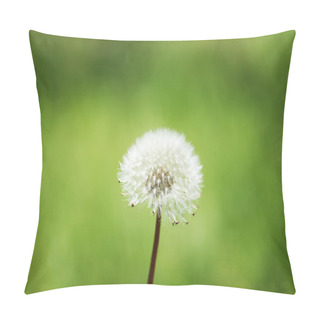 Personality  Dandelion Against Green Background In Bright Summer Day Pillow Covers