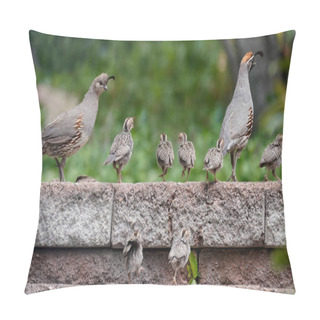 Personality  A Family Of Quail Chicks Have An Outing With Mom And Dad. Pillow Covers