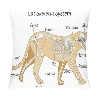 Personality  Science Cat Skeletal System Illustration Pillow Covers