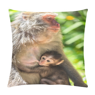 Personality  Monkey Mother And Baby In Natural Pillow Covers