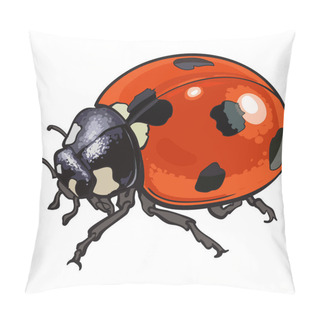 Personality Red Ladybug, Ladybird With Black Spots, Isolated Sketch Style Illustration Pillow Covers