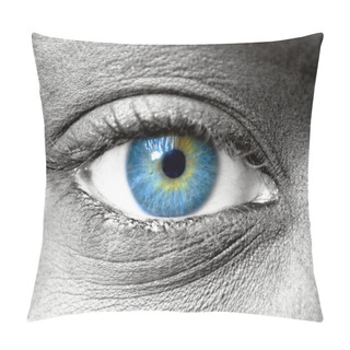 Personality  Blue Eye Extreme Close Up  Pillow Covers