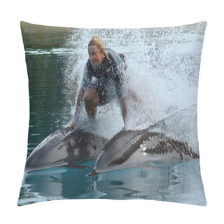 Personality  Dolphin Show In Sea World Gold Coast Australia Pillow Covers