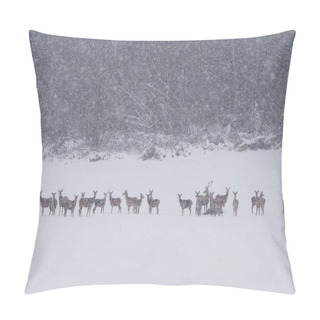 Personality  Red Deer (Cervus Elaphus). Swarm Of Deers In A Meadow. Pillow Covers