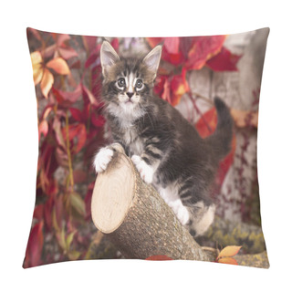 Personality  Kitten Among Red Autumn Pillow Covers
