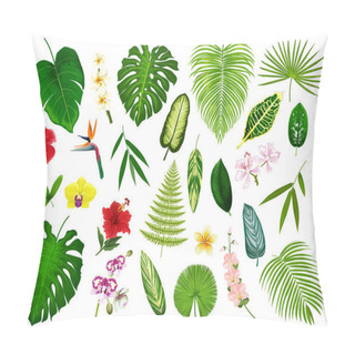 Personality  Tropical Exotic Plants And Flowers Leaf, Vector Pillow Covers