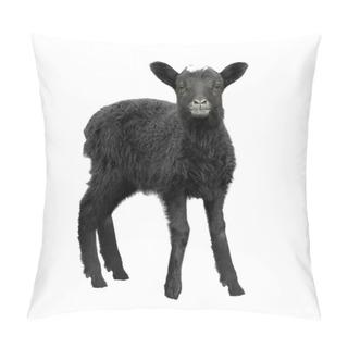 Personality  Cute Funny Lamb On White Background Pillow Covers