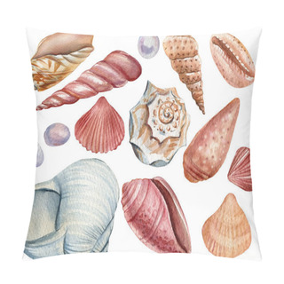 Personality  Set Of Seashells On An Isolated White Background, Hand Drawing Painting Pillow Covers