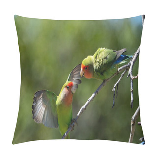 Personality  Two Rose Cheeked Lovebirds Fighting In A Tree Pillow Covers