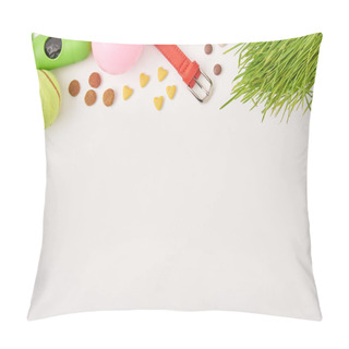 Personality  Flat Lay With Arranged Balls, Dog Collar And Pet Food On White Surface  Pillow Covers