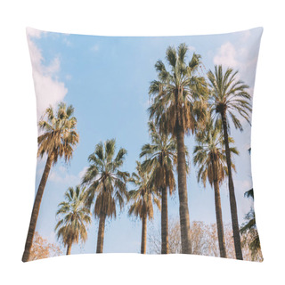 Personality  Tall Straight Palm Trees On Blue Sky Background, Barcelona, Spain Pillow Covers