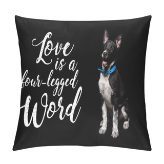 Personality  Dark Mongrel Dog In Blue Collar Near Lettering Love Is A Four-legged Word Isolated On Black Pillow Covers