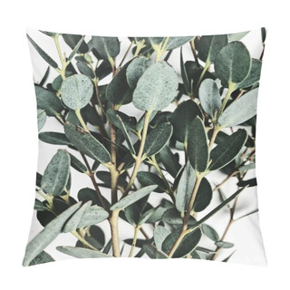 Personality  Eucalyptus Flower Branch On White Background. Flat Lay, Top View. Pillow Covers