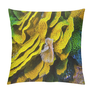 Personality   Yellow Turbinaria Mesenterina Coral  And Fan Worm, Underwater Pillow Covers
