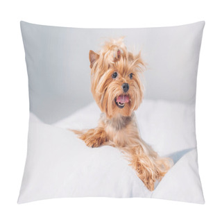 Personality  Close Up View Of Cute Little Yorkshire Terrier Lying On Bed Isolated On Grey Pillow Covers