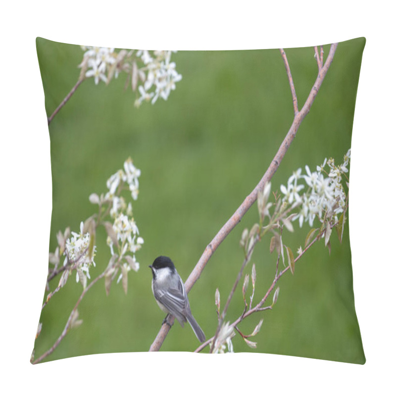 Personality  Black-capped Chickadee (poecile Atricapillus) Perched On The Branch Of A Flowering Serviceberry Tree (amelanchier Grandiflora) Pillow Covers