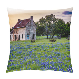 Personality  Abandoned Old House In Texas Wildflowers At Sunset. Pillow Covers