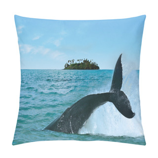 Personality  Whale Watching In Rarotonga Cook Islands Pillow Covers