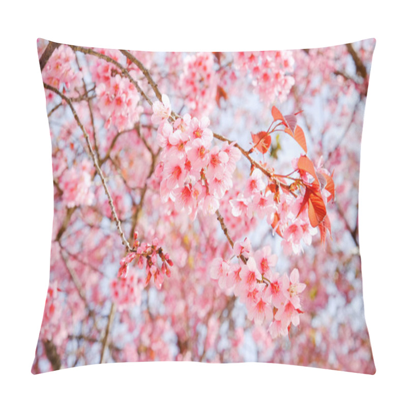 Personality  Wild Himalayan Cherry Flower With Filter Effect Retro Vintage St Pillow Covers